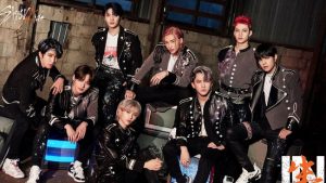 Stray Kid 